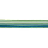 BD103 BORDER 1 7/8" - CITRUS - RM Coco - Trim by the Yard
