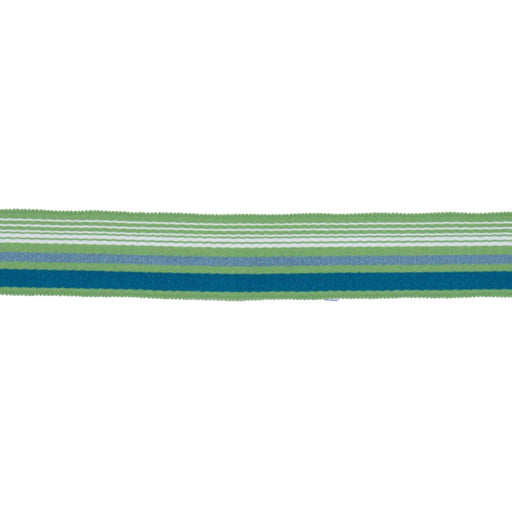BD103 BORDER 1 7/8" - CITRUS - RM Coco - Trim by the Yard