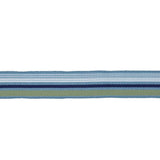 BD103 BORDER 1 7/8" - AQUAMARINE - RM Coco - Trim by the Yard