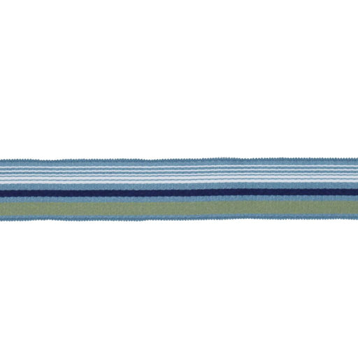 BD103 BORDER 1 7/8" - AQUAMARINE - RM Coco - Trim by the Yard
