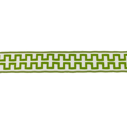 BD100 BORDER 2 3/8" - CITRUS - RM Coco - Trim by the Yard