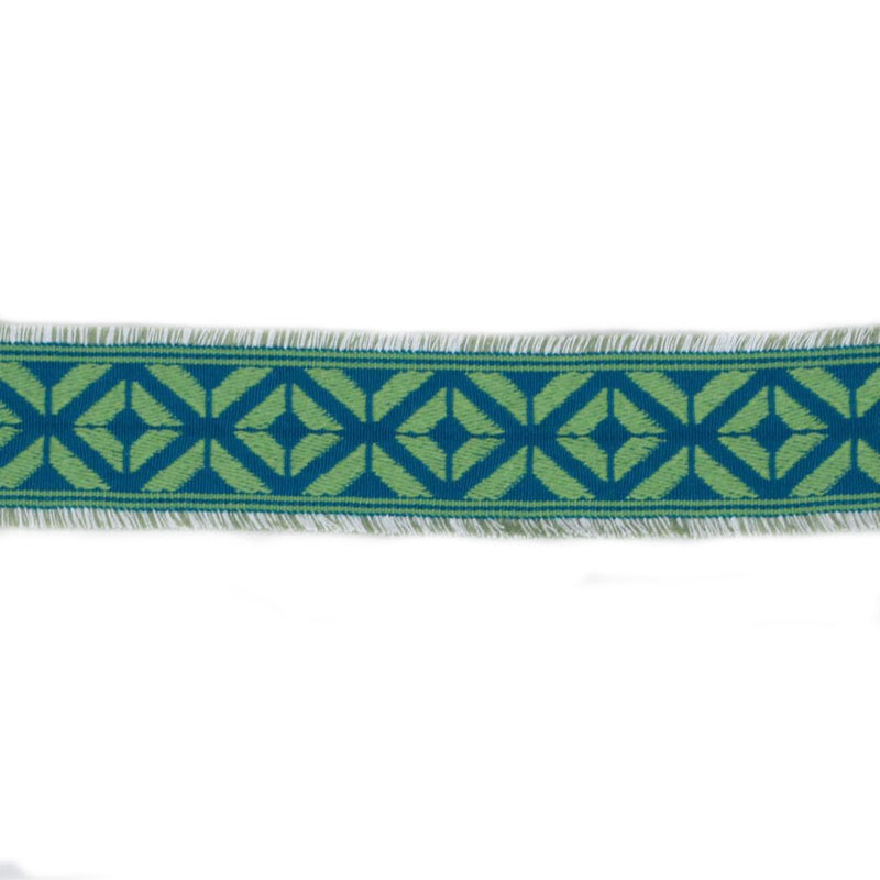 BD101 BORDER 2 3/8" - CITRUS - RM Coco - Trim by the Yard