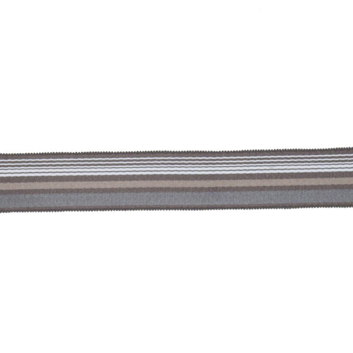 BD103 BORDER 1 7/8" - STERLING - RM Coco - Trim by the Yard