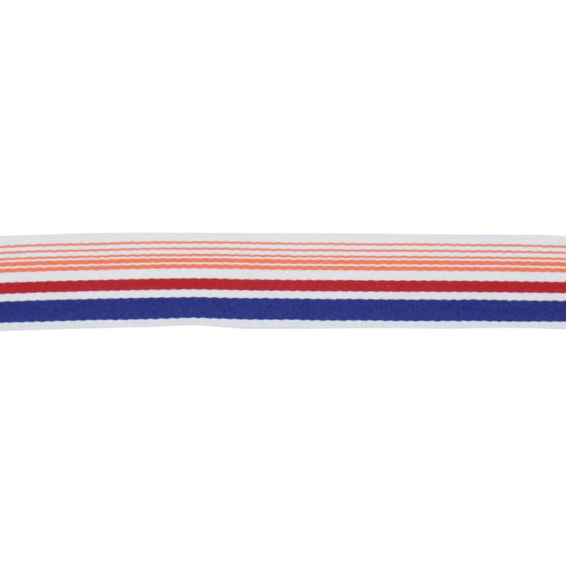 BD103 BORDER 1 7/8" - SUNSET - RM Coco - Trim by the Yard