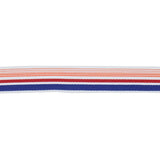 BD103 BORDER 1 7/8" - SUNSET - RM Coco - Trim by the Yard