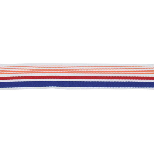 BD103 BORDER 1 7/8" - SUNSET - RM Coco - Trim by the Yard