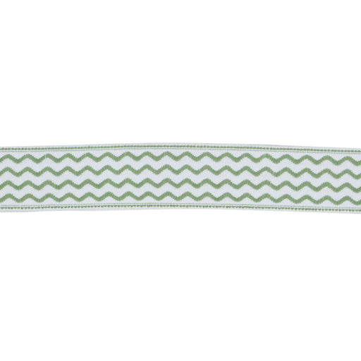 BD104 BORDER 1 7/8" - CITRUS - RM Coco - Trim by the Yard