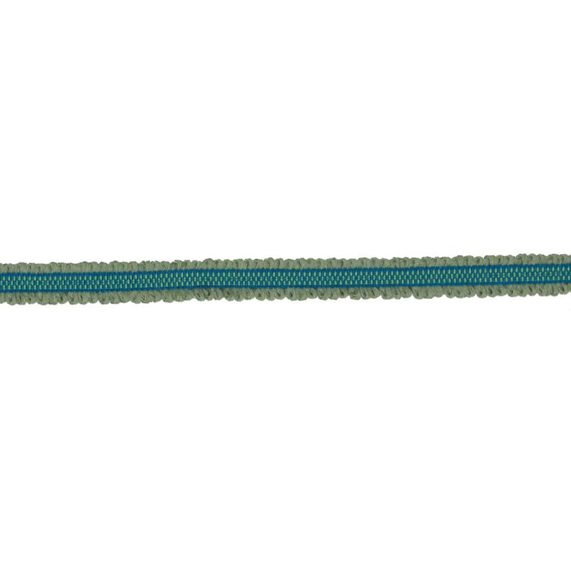 BD106 BORDER .75" - CITRUS - RM Coco - Trim by the Yard