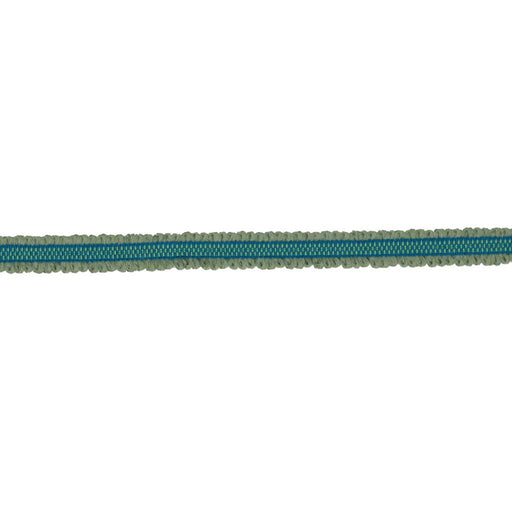 BD106 BORDER .75" - CITRUS - RM Coco - Trim by the Yard