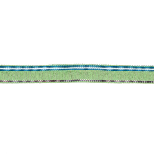 BF102 BRUSH FRINGE 1 3/16" - CITRUS - RM Coco - Trim by the Yard