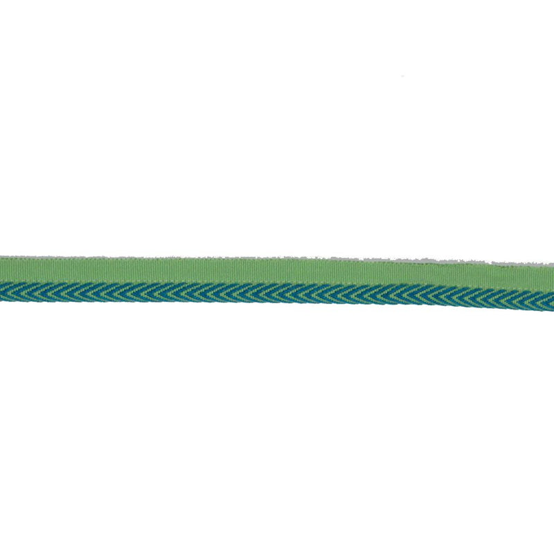 LC102 LIPCORD 3/8" - CITRUS - RM Coco - Trim by the Yard