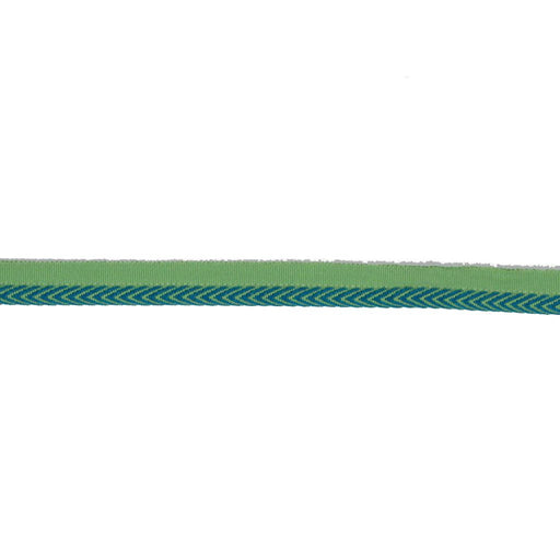 LC102 LIPCORD 3/8" - CITRUS - RM Coco - Trim by the Yard