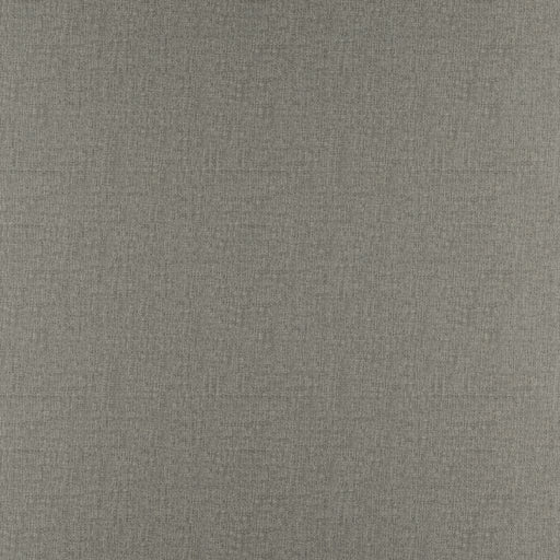 Prelude - Chinchilla - RM Coco - Fabric by the Yard
