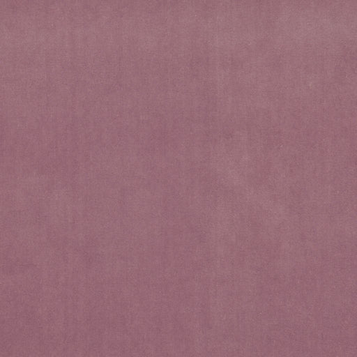 Deluxe Cotton Velvet - Amethyst - RM Coco - Fabric by the Yard