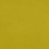 Deluxe Cotton Velvet - Apple Green - RM Coco - Fabric by the Yard