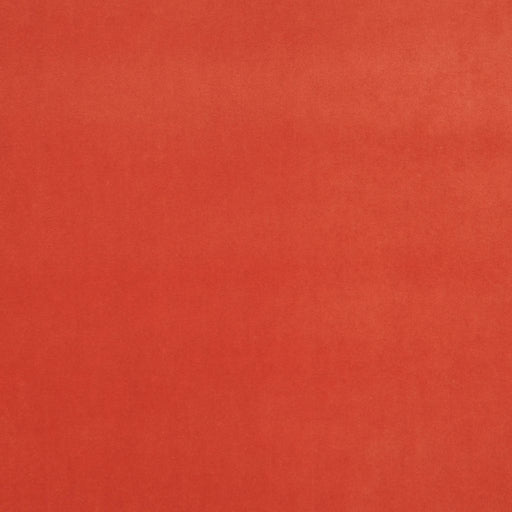 Deluxe Cotton Velvet - Coral - RM Coco - Fabric by the Yard