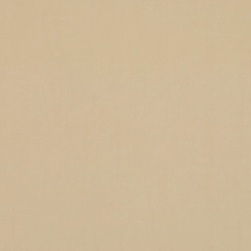 Deluxe Cotton Velvet - Snow - RM Coco - Fabric by the Yard