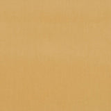 Deluxe Cotton Velvet - Ecru - RM Coco - Fabric by the Yard