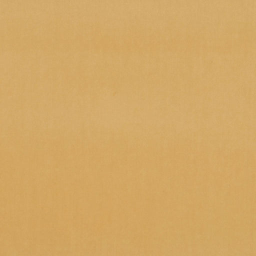 Deluxe Cotton Velvet - Ecru - RM Coco - Fabric by the Yard