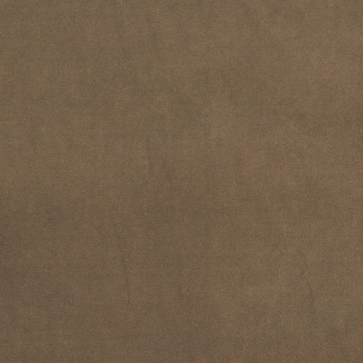 Deluxe Cotton Velvet - Grey Cloud - RM Coco - Fabric by the Yard