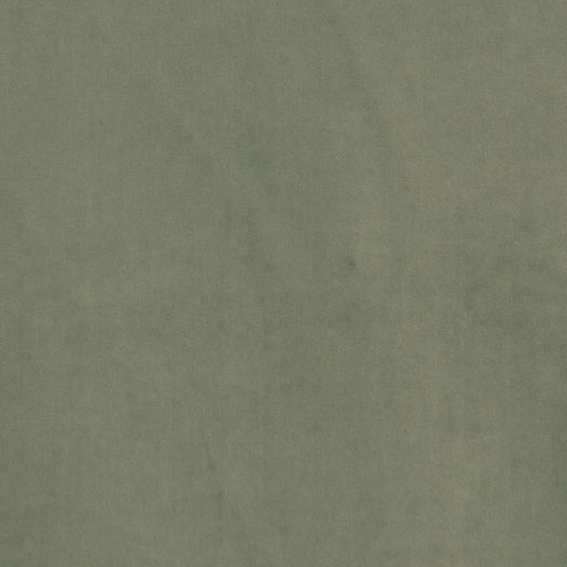 Deluxe Cotton Velvet - Stone - RM Coco - Fabric by the Yard