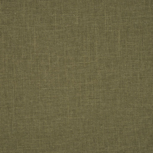 FAIRMONT - SAGE GREEN - RM Coco - Fabric by the Yard