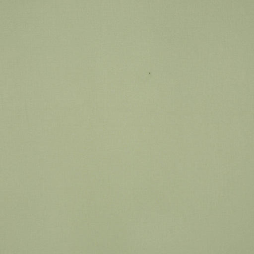 PLATINUM - CABBAGE - RM Coco - Fabric by the Yard