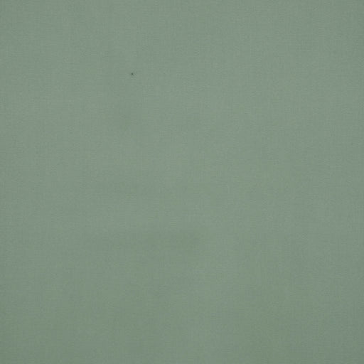 PLATINUM - MOSS - RM Coco - Fabric by the Yard