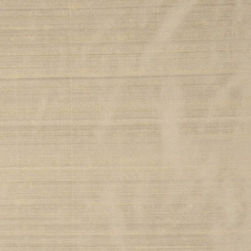 RM DUPIONI - TAN - RM Coco - Fabric by the Yard