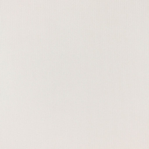 Zip Line - Winter White - RM Coco - Fabric by the Yard