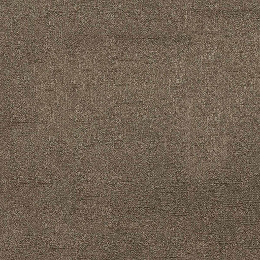 Dazzle - Silver Oak - RM Coco - Fabric by the Yard