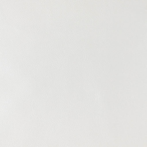 Barzona - Mother of Pearl - RM Coco - Fabric by the Yard