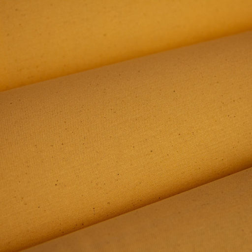 Expedition - Nugget - RM Coco - Fabric by the Yard