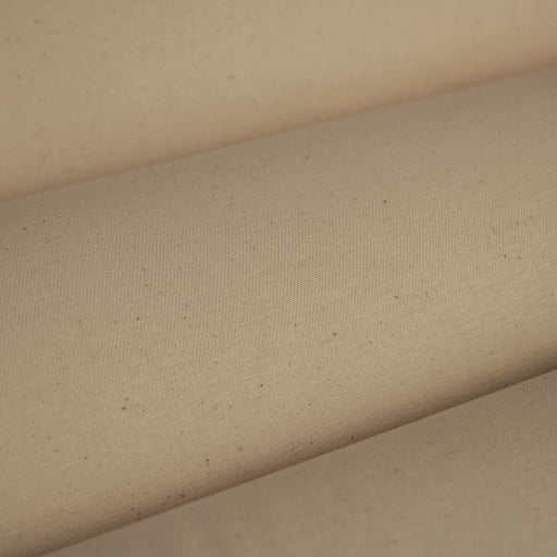 Expedition - Pebble - RM Coco - Fabric by the Yard