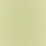 Clubhouse - Pistachio - RM Coco - Fabric by the Yard