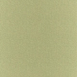 Clubhouse - Apple - RM Coco - Fabric by the Yard