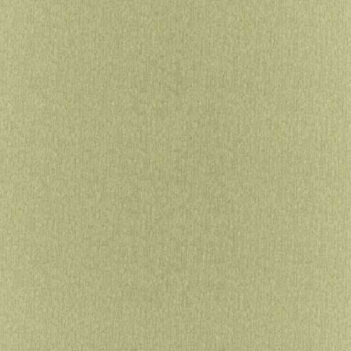 Clubhouse - Apple - RM Coco - Fabric by the Yard