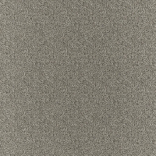 Clubhouse - Charcoal - RM Coco - Fabric by the Yard