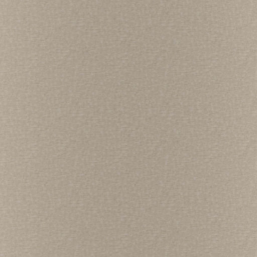 Gossamer - Fossil - RM Coco - Fabric by the Yard