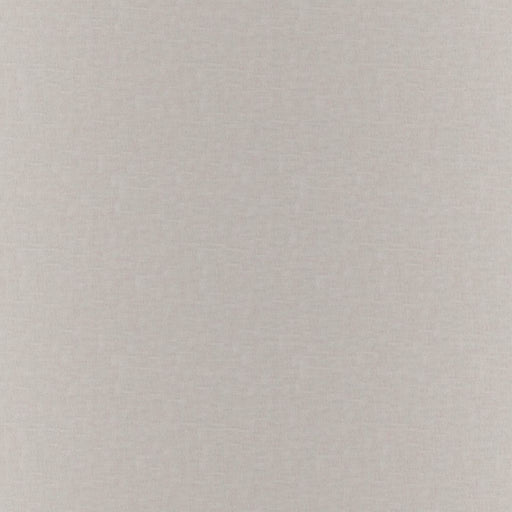 Gossamer - Chinchilla - RM Coco - Fabric by the Yard