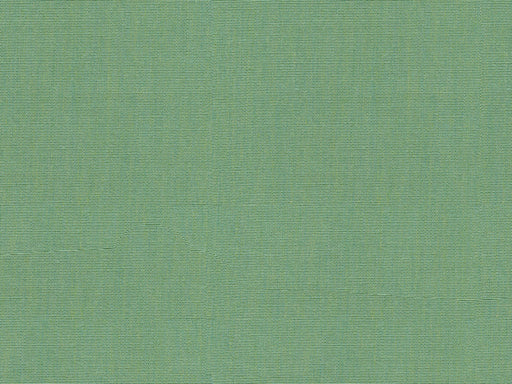 KRAVET DESIGN - SOLEIL CANVAS- SPA - Fabric by the Yard SPA