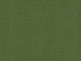 KRAVET DESIGN - SOLEIL CANVAS- FERN - Fabric by the Yard
