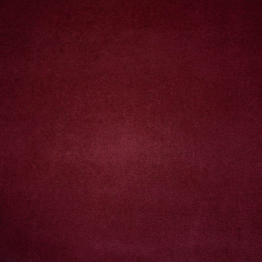 Deluxe Cotton Velvet - Cassis - RM Coco - Fabric by the Yard