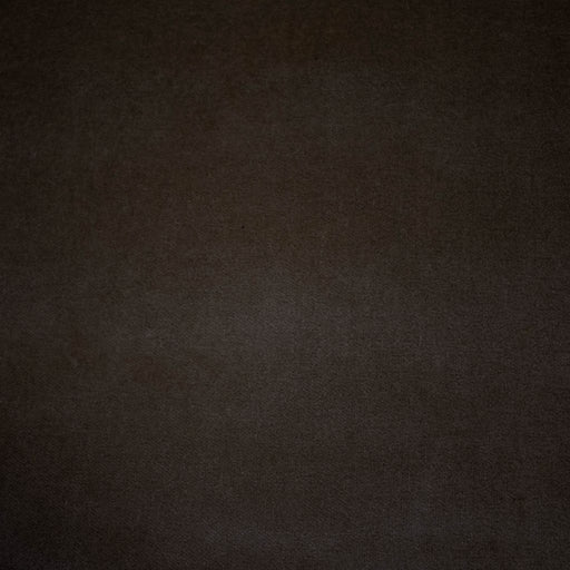 Deluxe Cotton Velvet - Thunder - RM Coco - Fabric by the Yard
