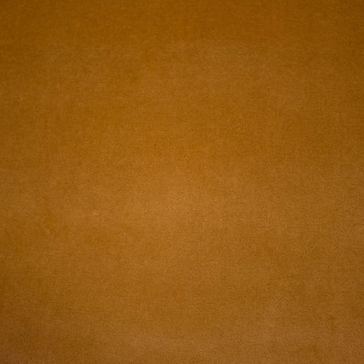 Deluxe Cotton Velvet - Travertine - RM Coco - Fabric by the Yard
