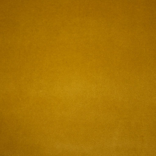 Deluxe Cotton Velvet - Wasabi - RM Coco - Fabric by the Yard