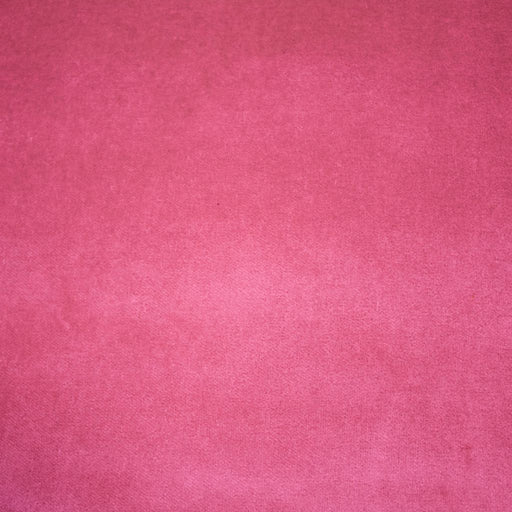 Deluxe Cotton Velvet - Begonia - RM Coco - Fabric by the Yard