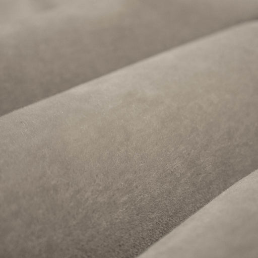 Palais Royale Mohair Velvet - Fog - RM Coco - Fabric by the Yard