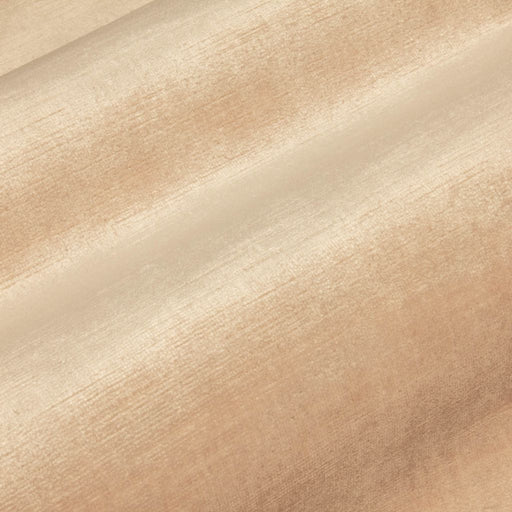 Pied a Terre Rayon Velvet - French Vanilla - RM Coco - Fabric by the Yard
