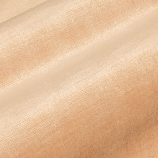 Pied a Terre Rayon Velvet - Alabaster - RM Coco - Fabric by the Yard